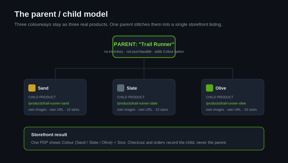 Shopify Combined Listings: One Product Page, Distinct URLs 1 Shopify combined listings parent and child product model diagram