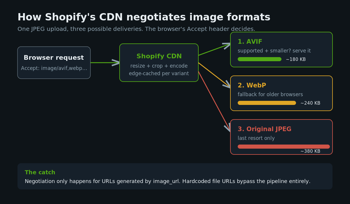 How the Shopify CDN negotiates AVIF, WebP and JPEG delivery